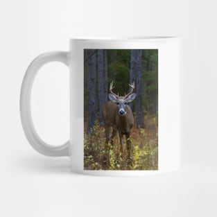 Curious Prince - White-tailed Buck Mug